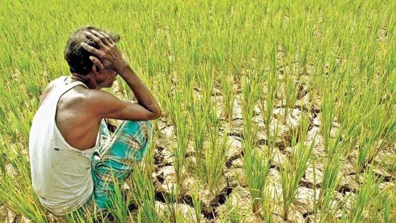 انقلاب کشاورزی در هند با بلاک‌چین