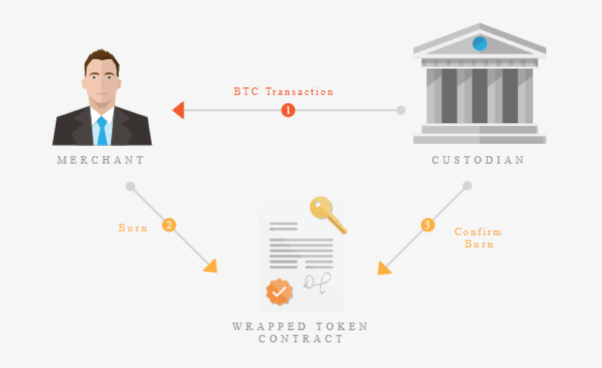 توکن WBTC چیست؟ آشنایی با Wrapped Bitcoin